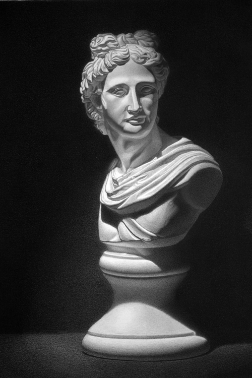 Michael A. Cooley, Apollo Belvedere Bust, 2018, Graphite. © M Cooley