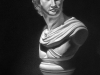 Apollo Belvedere Bust