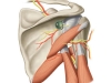 PostQuadSpace_GanglionicCyst