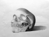 Maya Wei Haas PhD., Human Skull, 2015, Graphite