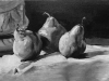 Roberta Vita, Pears, Mastercopy, After Helen Van Wyk, 2015, Oil